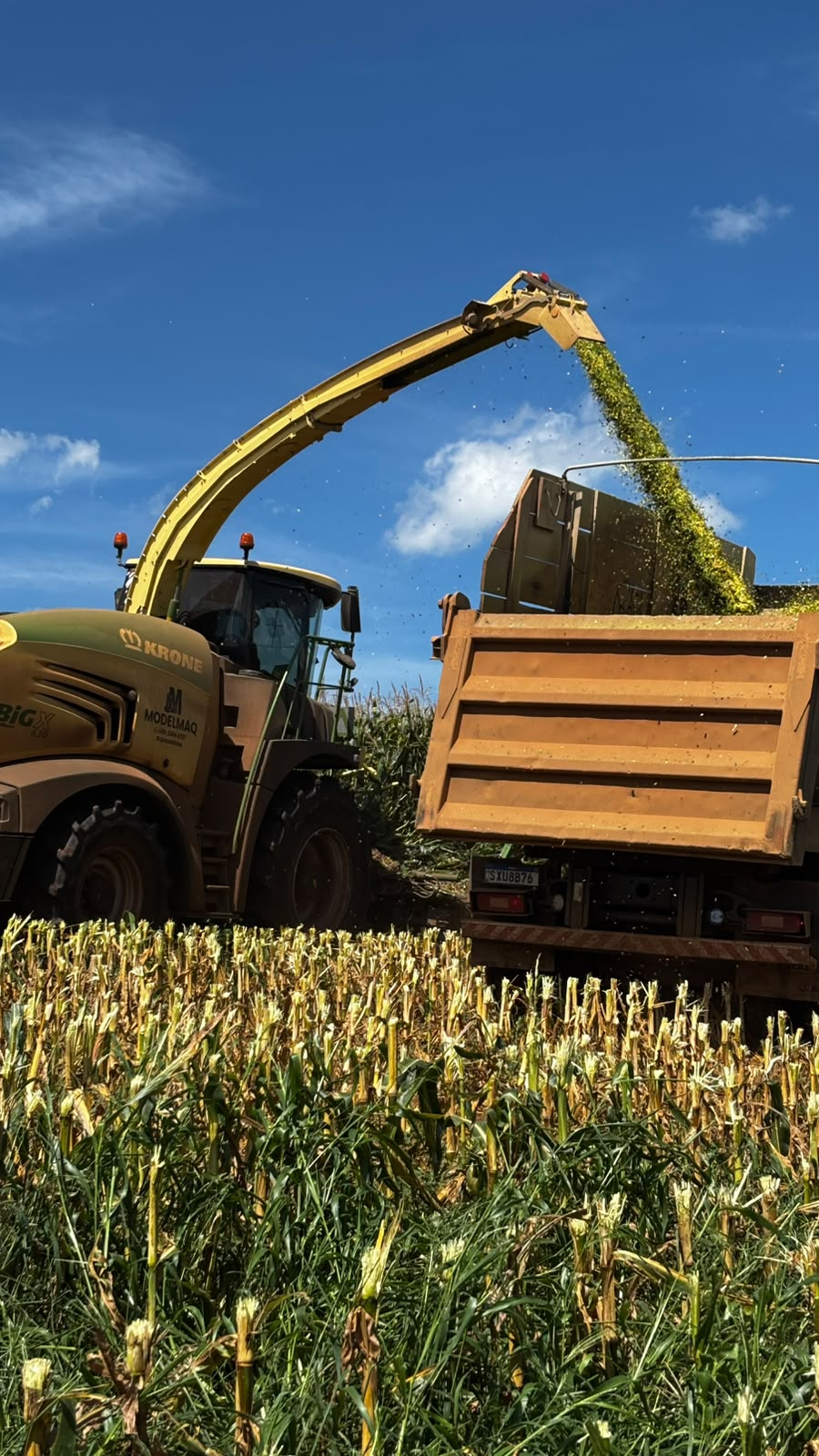 Colheitadeira Krone Big X da MODELMAQ realizando silagem de milho