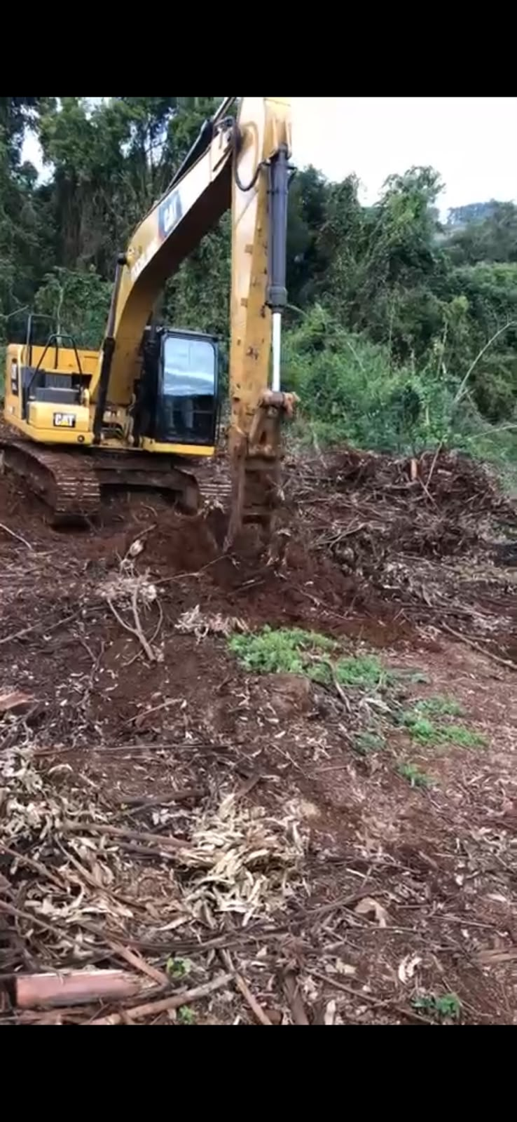 Escavadeira da MODELMAQ com garfo realizando destoque de área